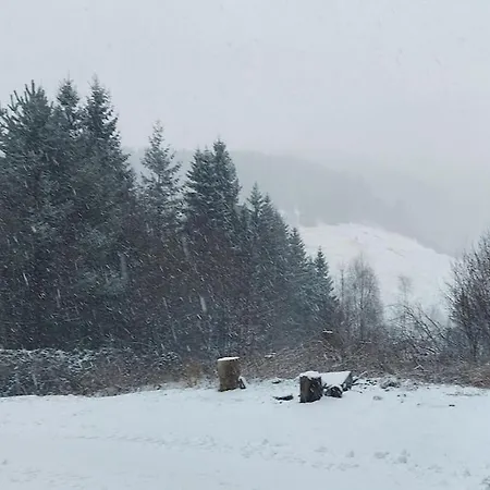 Sehr Grosses Fuer Bis Zu 9 Personen In Wildemann *