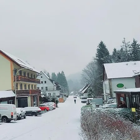 Sehr Grosses Fuer Bis Zu 9 Personen In Wildemann *