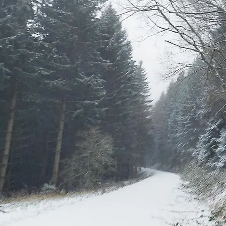 Sehr Grosses Fuer Bis Zu 9 Personen In Wildemann *